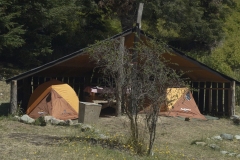 2carpas_ensitio