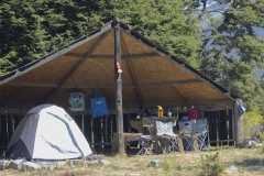 carpaensitio